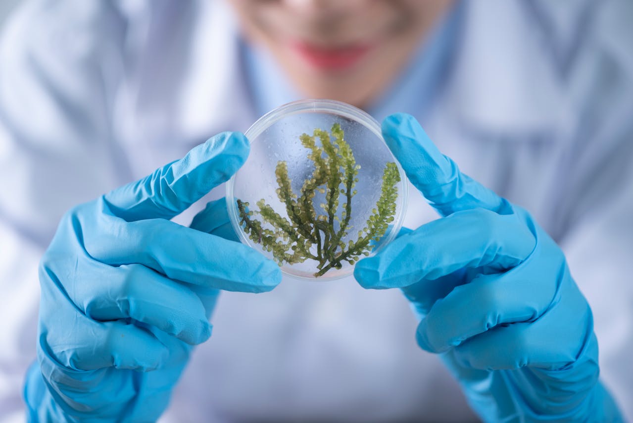 Health in 2025: Innovations and Habits Shaping a Better Tomorrow